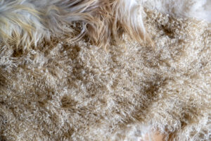 Sheepskin Rugs: Unique and Responsible