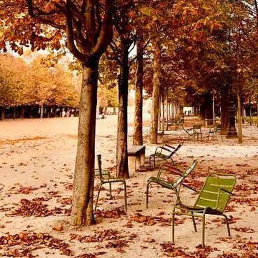 Photo d'art - Paris - "Jardin des Tuileries" n° 6