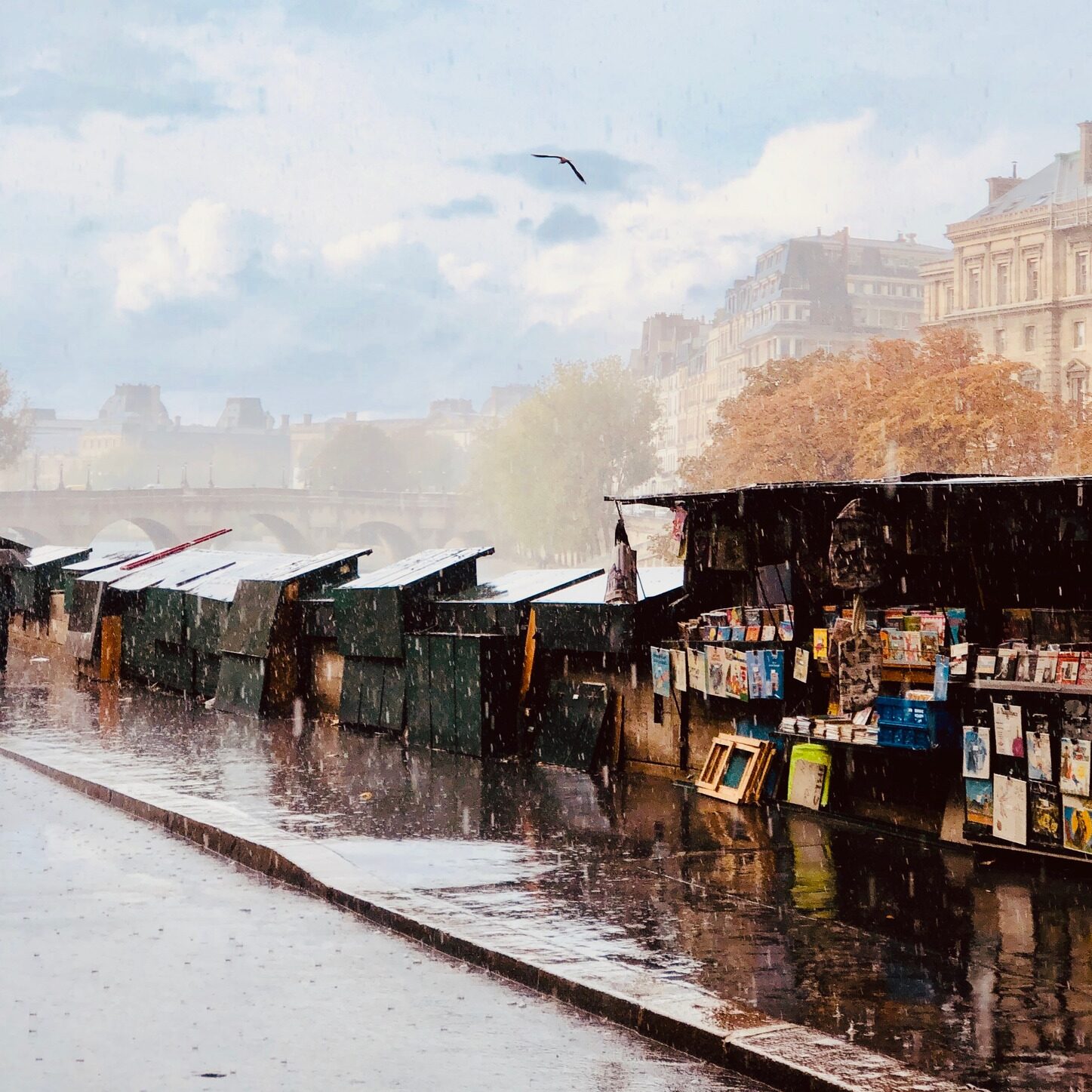 Photo d'art - Paris "Les bouquinistes" n° 7