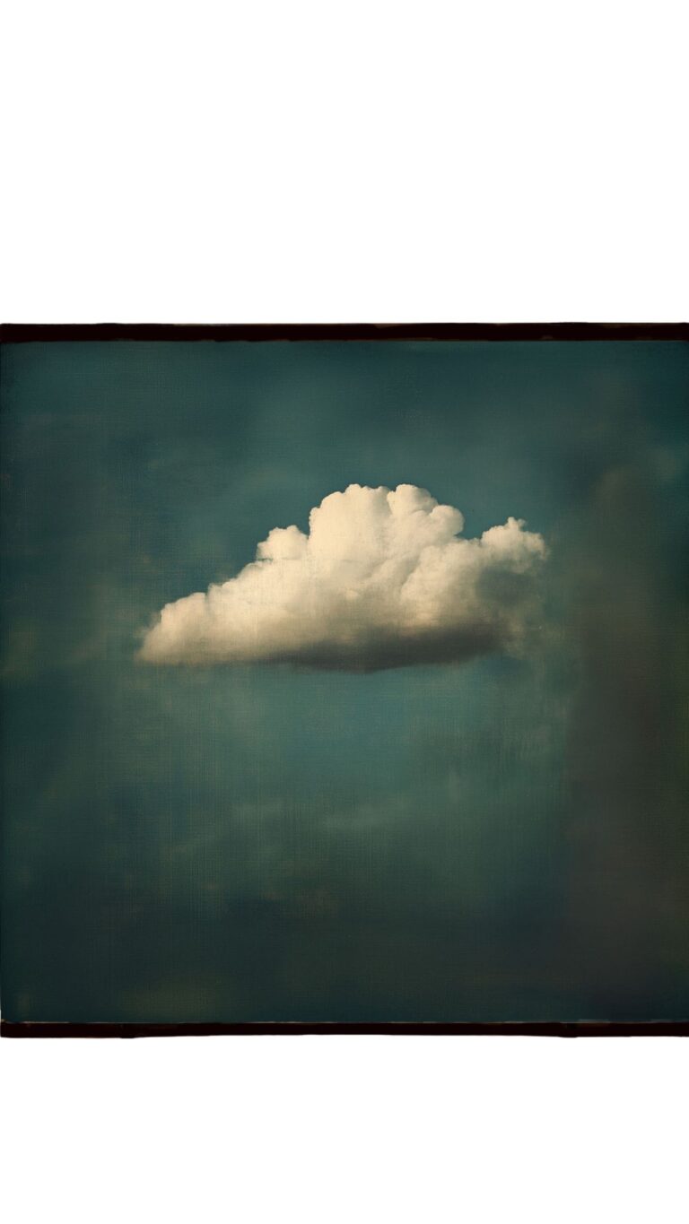 Toile vagabonde n°1 : The cloud